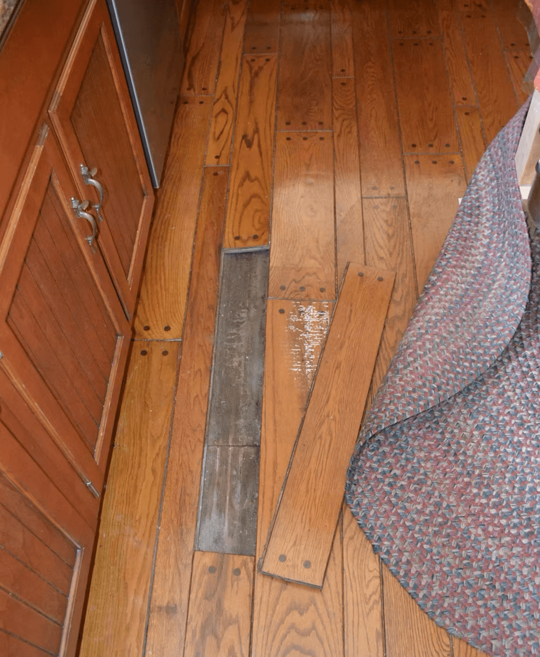 Mold-damaged interior contents after prolonged moisture.